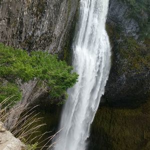 Meet your Posher, Claudia